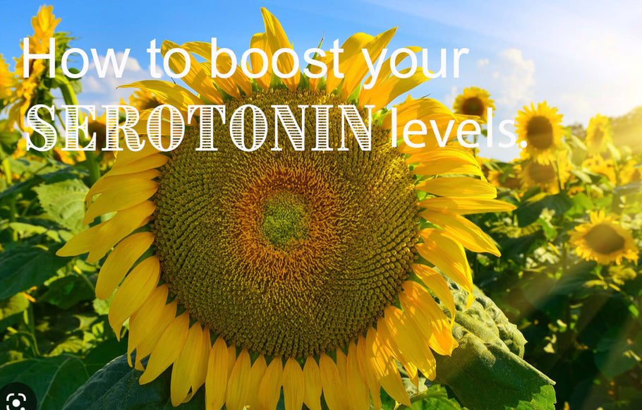 How to Boost your serotonin levels and mental wellness.